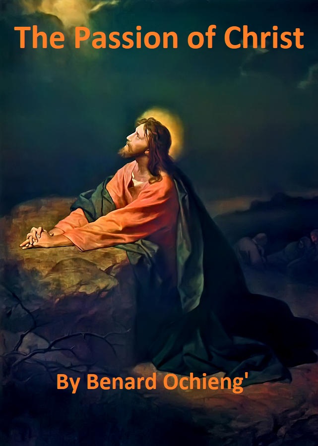 Basic Fighter Maneuvers book by Benard Ochieng'